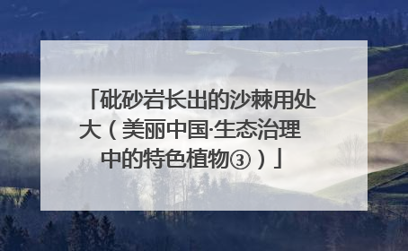 砒砂岩长出的沙棘用处大（美丽中国·生态治理中的特色植物③）