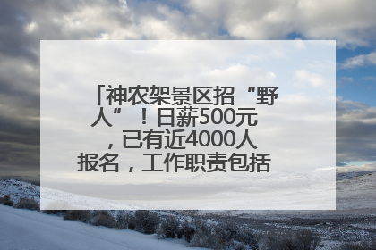 神农架景区招“野人”！日薪500元，已有近4000人报名，工作职责包括“接受游客投喂”