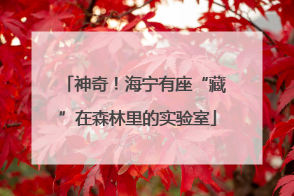 神奇！海宁有座“藏”在森林里的实验室