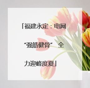 福建永定：电网“强筋健骨” 全力迎峰度夏
