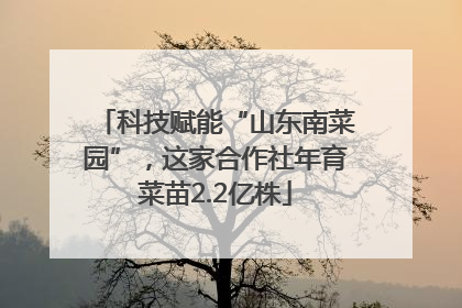 科技赋能“山东南菜园”，这家合作社年育菜苗2.2亿株