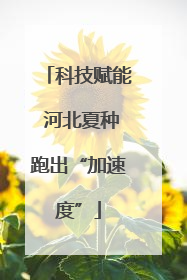 科技赋能 河北夏种跑出“加速度”