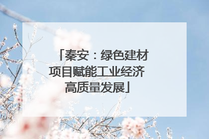 秦安：绿色建材项目赋能工业经济高质量发展