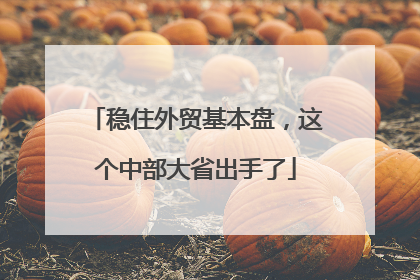 稳住外贸基本盘，这个中部大省出手了