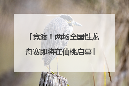竞渡！两场全国性龙舟赛即将在仙桃启幕