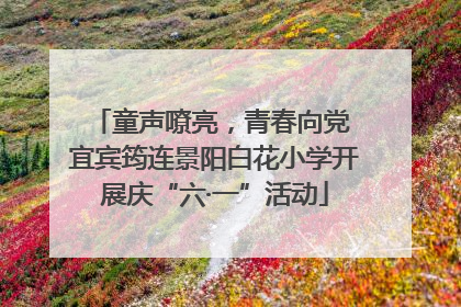 童声嘹亮，青春向党 宜宾筠连景阳白花小学开展庆“六·一”活动