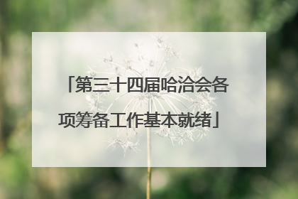 第三十四届哈洽会各项筹备工作基本就绪