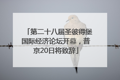 第二十八届圣彼得堡国际经济论坛开幕，普京20日将致辞