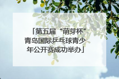 第五届“萌芽杯”青岛国际乒乓球青少年公开赛成功举办