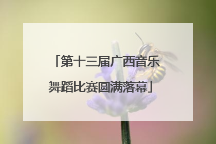 第十三届广西音乐舞蹈比赛圆满落幕