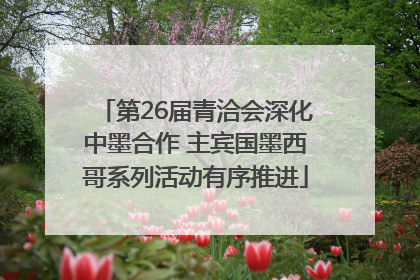 第26届青洽会深化中墨合作 主宾国墨西哥系列活动有序推进