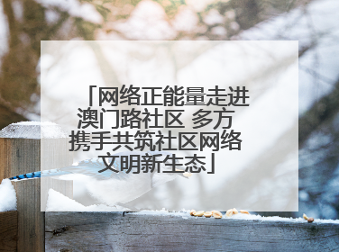 网络正能量走进澳门路社区 多方携手共筑社区网络文明新生态