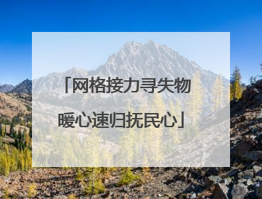 网格接力寻失物 暖心速归抚民心