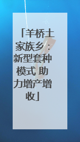 羊桥土家族乡：新型套种模式 助力增产增收
