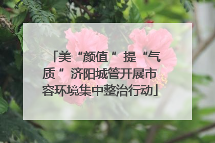 美“颜值 ”提“气质 ”济阳城管开展市容环境集中整治行动