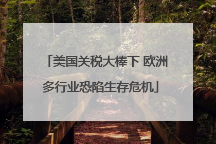 美国关税大棒下 欧洲多行业恐陷生存危机