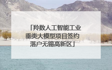 羚数人工智能工业垂类大模型项目签约落户无锡高新区