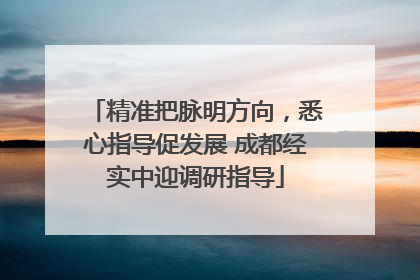 精准把脉明方向，悉心指导促发展 成都经实中迎调研指导