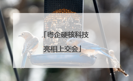 粤企硬核科技亮相上交会