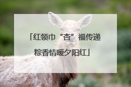 红领巾“杏”福传递 粽香情暖夕阳红