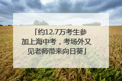 约12.7万考生参加上海中考，考场外又见老师带来向日葵