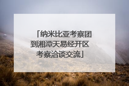 纳米比亚考察团到湘潭天易经开区考察洽谈交流