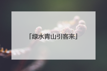 绿水青山引客来