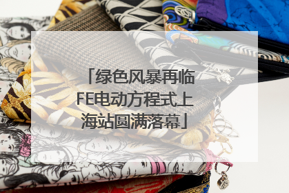 绿色风暴再临 FE电动方程式上海站圆满落幕