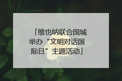 维也纳联合国城举办“文明对话国际日”主题活动