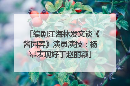编剧汪海林发文谈《酱园弄》演员演技：杨幂表现好于赵丽颖
