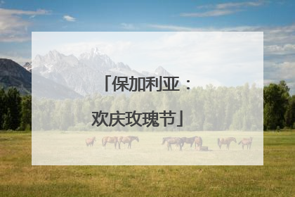 保加利亚：欢庆玫瑰节