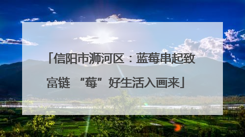信阳市浉河区：蓝莓串起致富链 “莓”好生活入画来