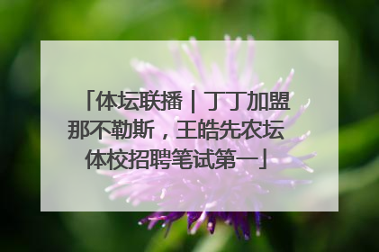 体坛联播｜丁丁加盟那不勒斯，王皓先农坛体校招聘笔试第一