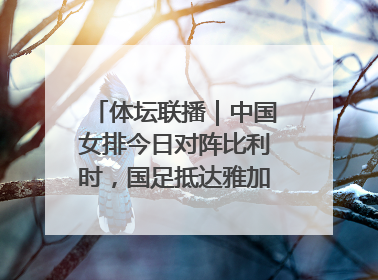 体坛联播｜中国女排今日对阵比利时，国足抵达雅加达后首训