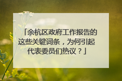 余杭区政府工作报告的这些关键词条，为何引起代表委员们热议？