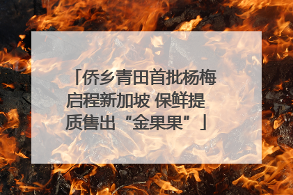 侨乡青田首批杨梅启程新加坡 保鲜提质售出“金果果”