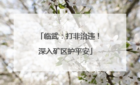 临武：打非治违！深入矿区护平安