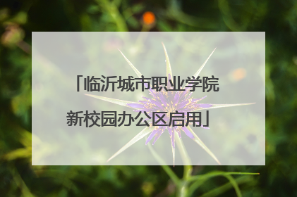 临沂城市职业学院新校园办公区启用
