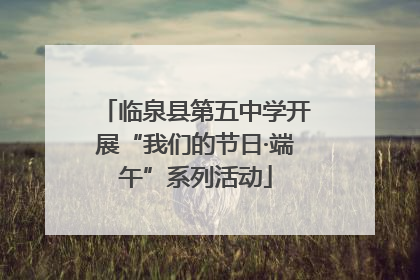临泉县第五中学开展“我们的节日·端午”系列活动