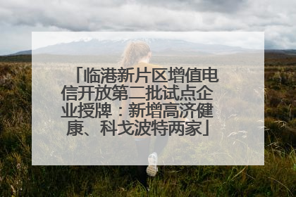 临港新片区增值电信开放第二批试点企业授牌：新增高济健康、科戈波特两家