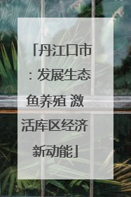 丹江口市：发展生态鱼养殖 激活库区经济新动能