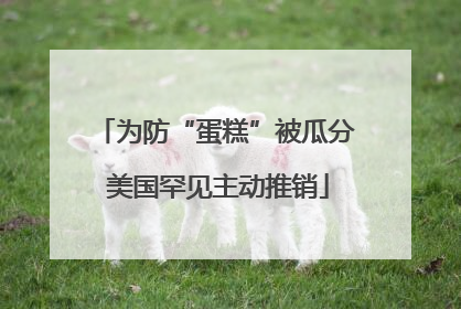 为防“蛋糕”被瓜分 美国罕见主动推销