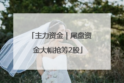 主力资金｜尾盘资金大幅抢筹2股