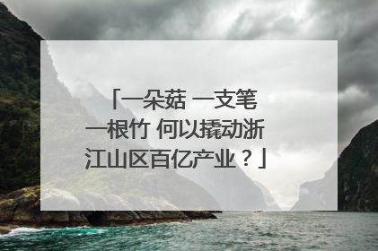 一朵菇 一支笔 一根竹 何以撬动浙江山区百亿产业？