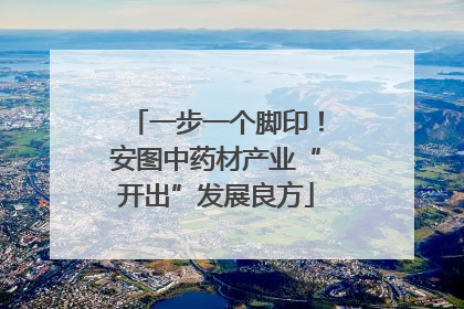 一步一个脚印！安图中药材产业“开出”发展良方