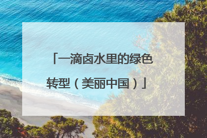 一滴卤水里的绿色转型（美丽中国）