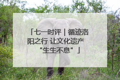 七一时评｜循迹洛阳之行 让文化遗产“生生不息”