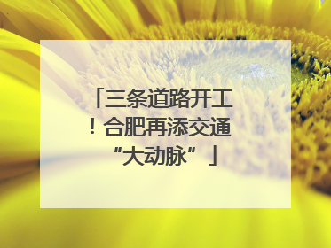 三条道路开工！合肥再添交通“大动脉”