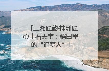 三湘匠韵·株洲匠心丨石天宝：稻田里的“追梦人”