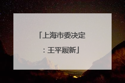 上海市委决定：王平履新